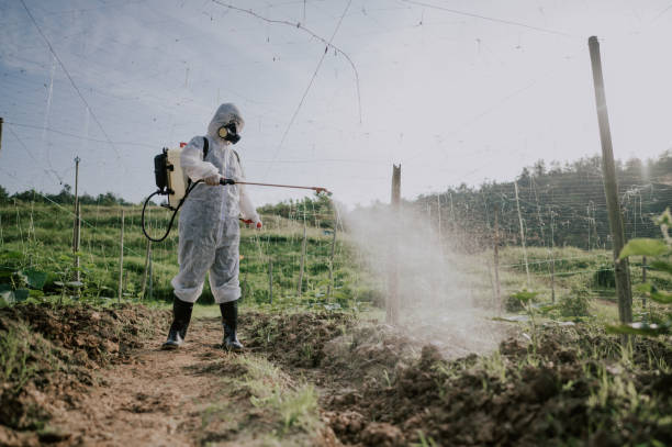 Best Commercial Pest Control Services  in Mansura, LA
