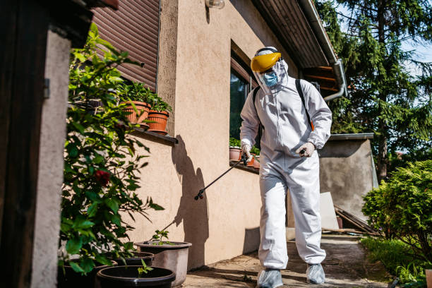 Best Bed Bug Extermination  in Mansura, LA