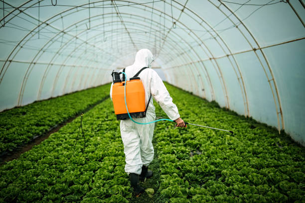 Best Best Pest Control Companies  in Mansura, LA
