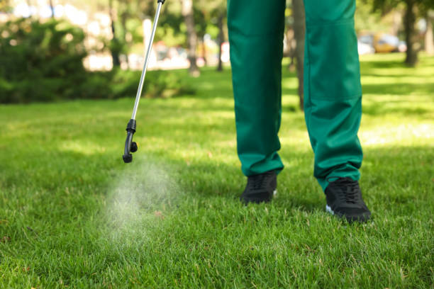 Best Exterminator Services  in Mansura, LA