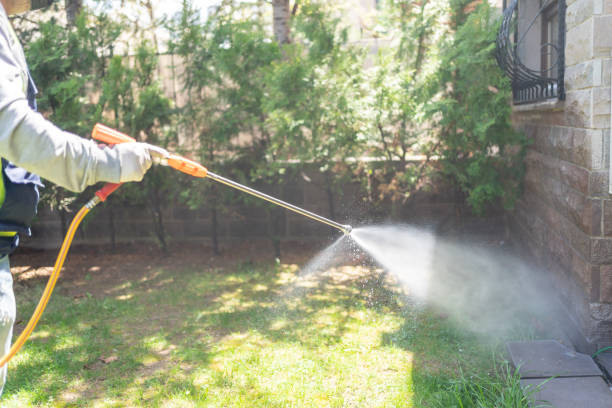 Best Residential Pest Control  in Mansura, LA