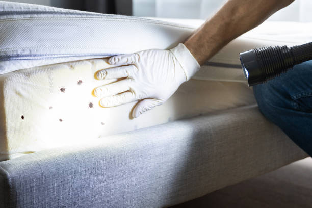 Best Pest Prevention Services  in Mansura, LA