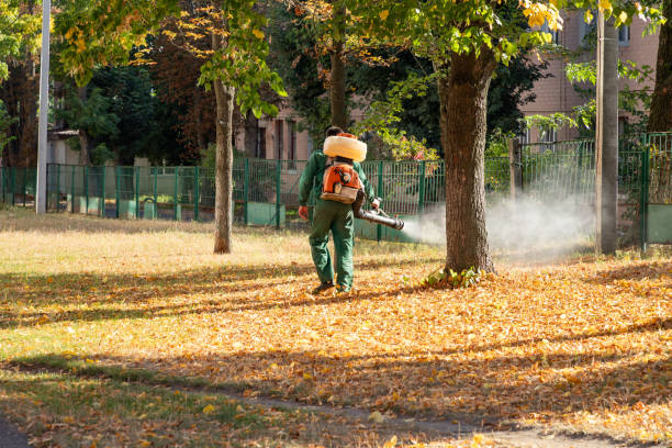 Best Pest Inspection Near Me  in Mansura, LA