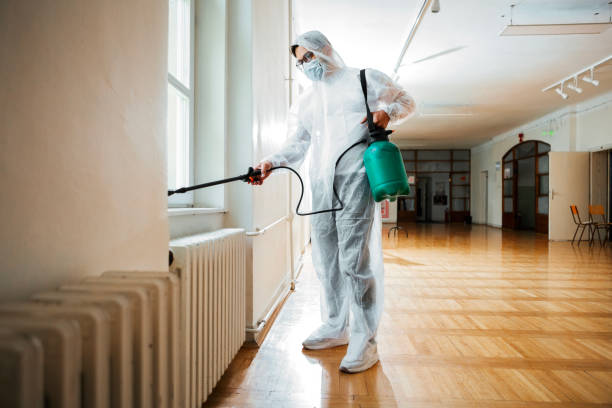 Best Flea Control Services  in Mansura, LA