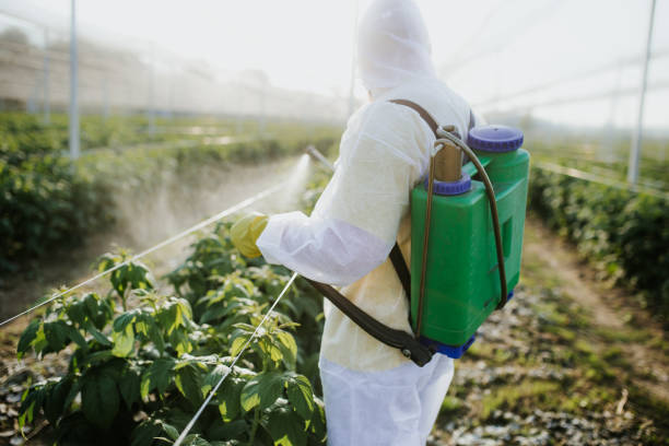 Best Insect Control  in Mansura, LA